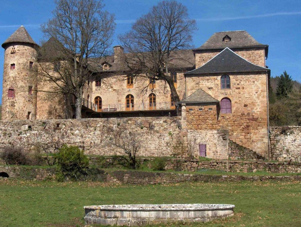 Chateau De Salelles Banassac Ngoại thất bức ảnh